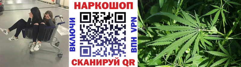 Купить закладку COCAIN  МЕФ  Alpha PVP  ГАШ  Александров